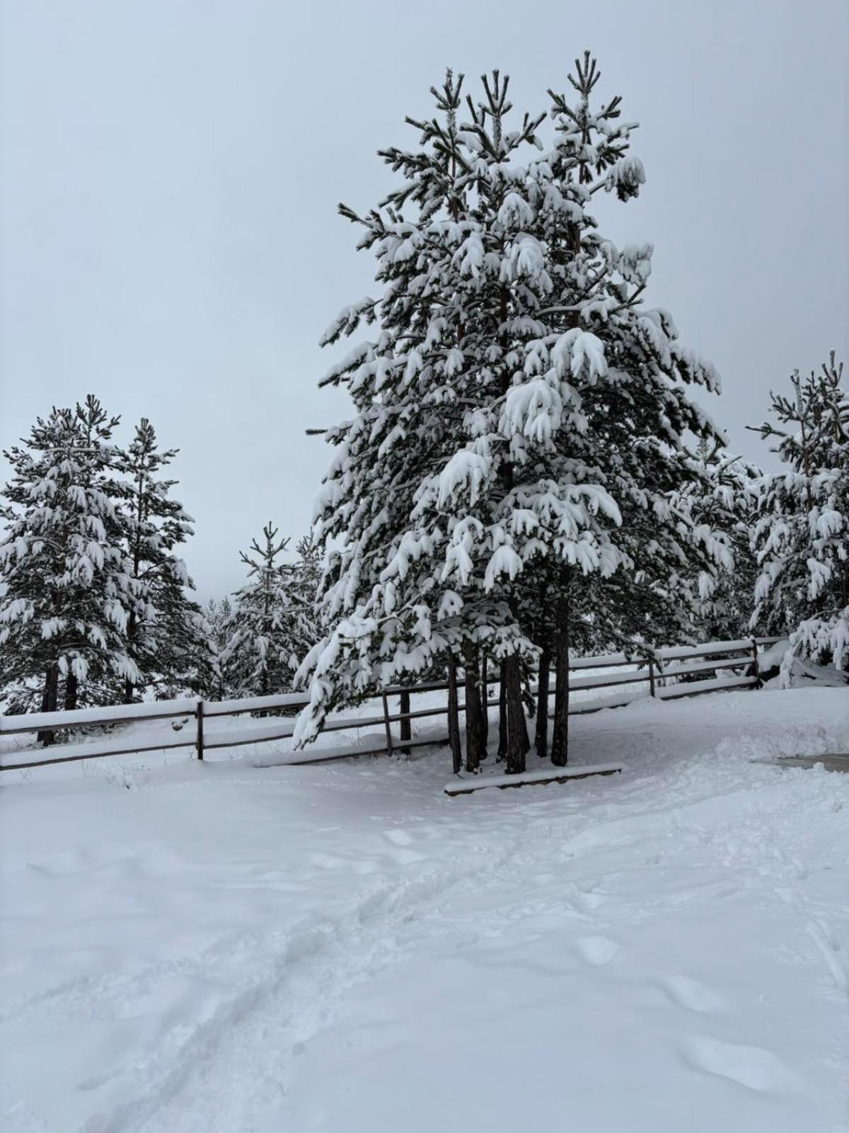 Zabljak_Vikendica Exterior foto